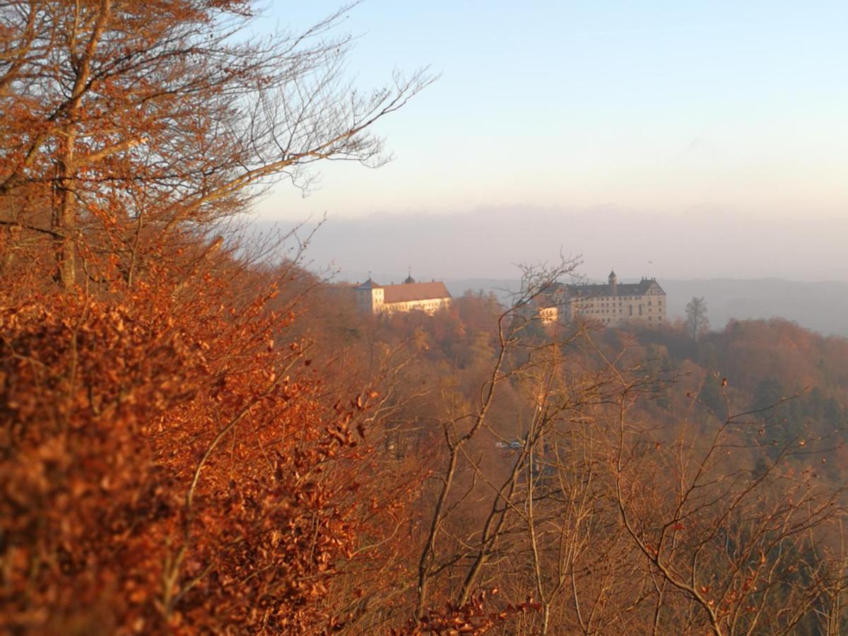 Am Bodensee Apartment *
